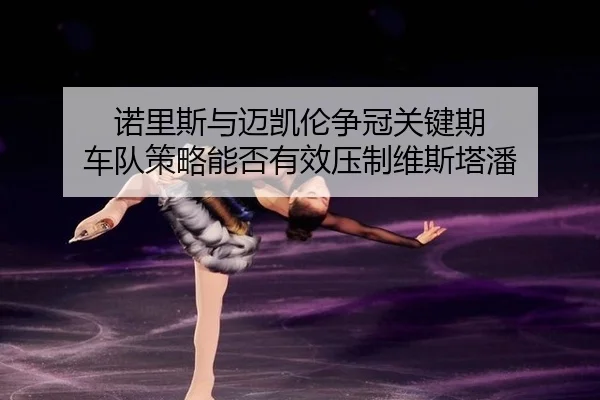 nuo-li-si-yu-mai-kai-lun-zheng-guan-guan-jian-qi-che-dui-ce-lve-neng-fou-you-xiao-ya-zhi-wei-si-ta-pan-2-557.jpg