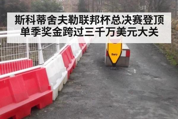 斯科蒂舍夫勒联邦杯总决赛登顶 单季奖金跨过三千万美元大关